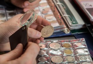 Coin Collection