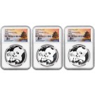 2019 (G) (S) (Y) 10 Yuan 30g .999 Chinese Silver Panda 3 Coin Mint Set NGC MS70