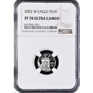 2002 W $10 Proof American Platinum Eagle 1/10 oz .9995 Fine NGC PF70 Ultra Cameo