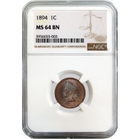 1894 1C Indian Head Cent NGC MS64 BN Brown Brilliant Uncirculated Toned Coin