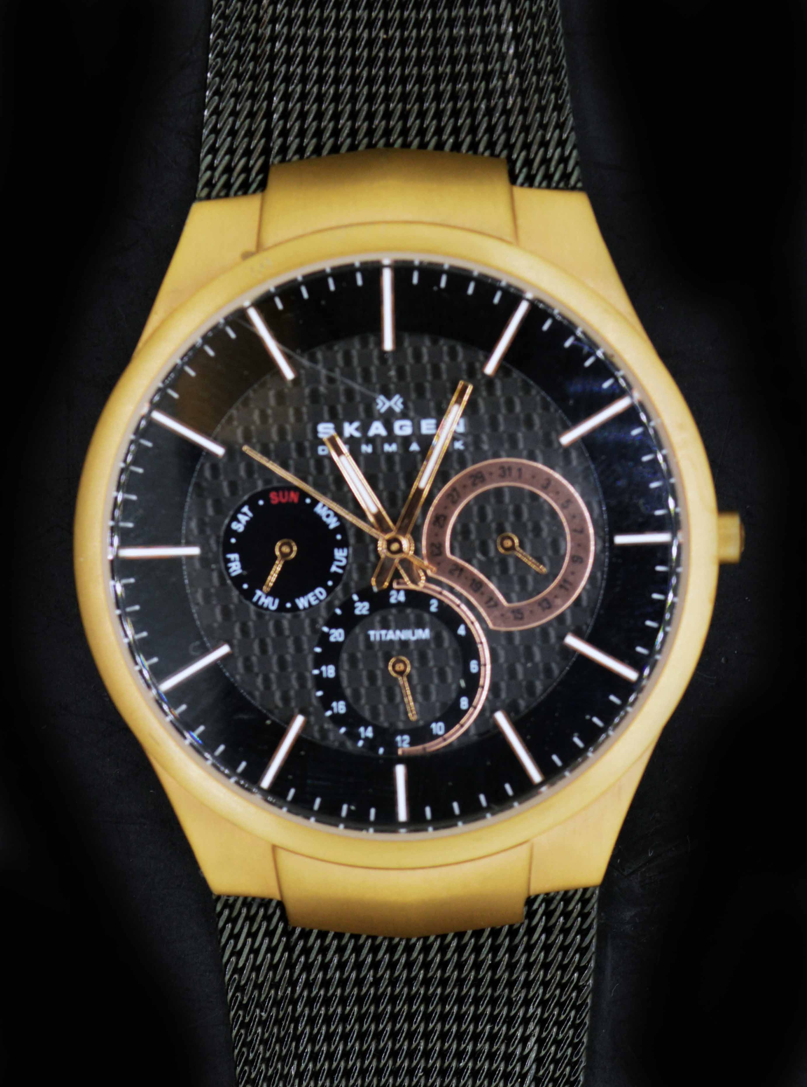 Skagen essay 08 image