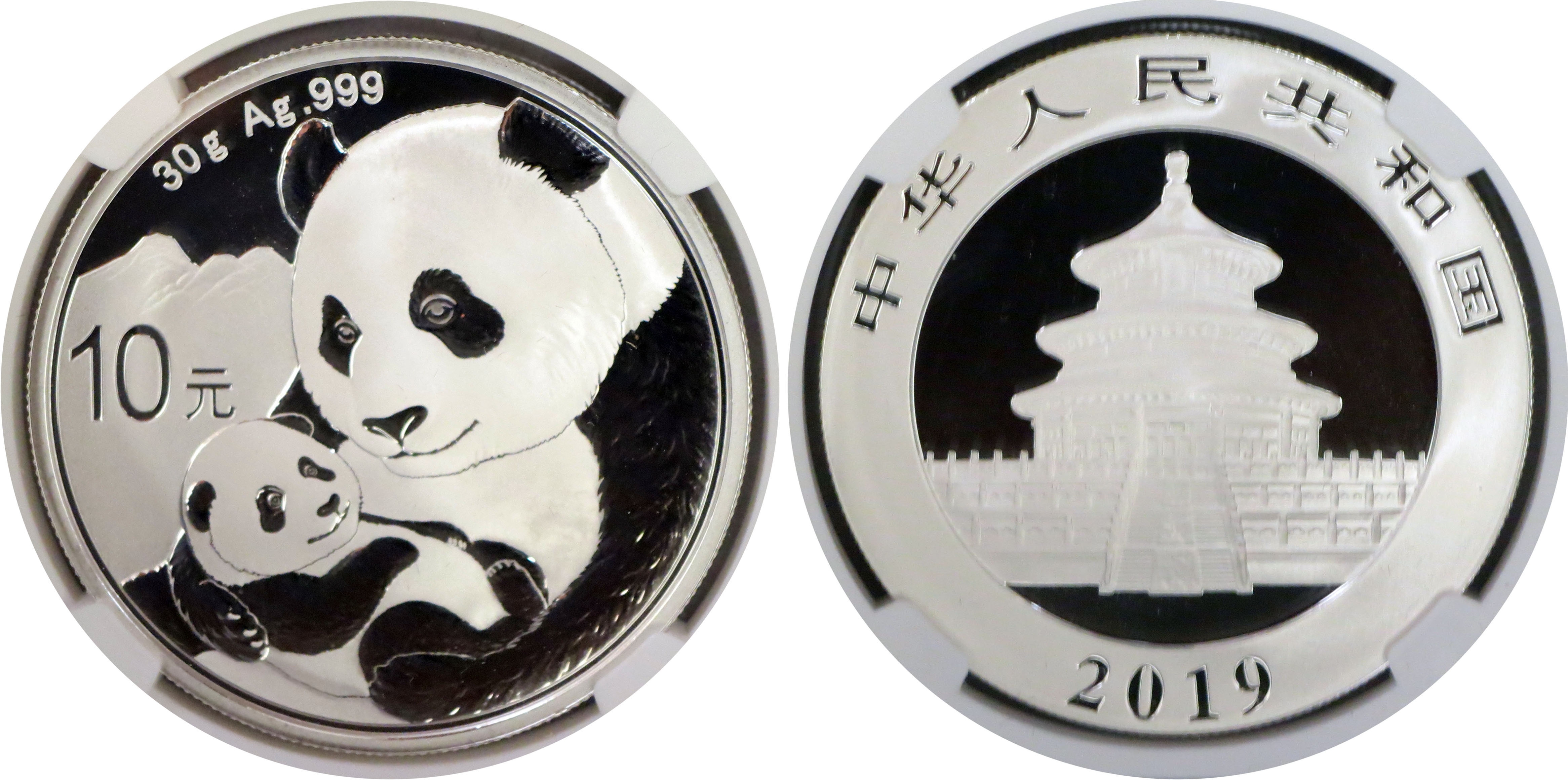 2019 (G) (S) (Y) 10 Yuan 30g .999 Chinese Silver Panda 3 ...